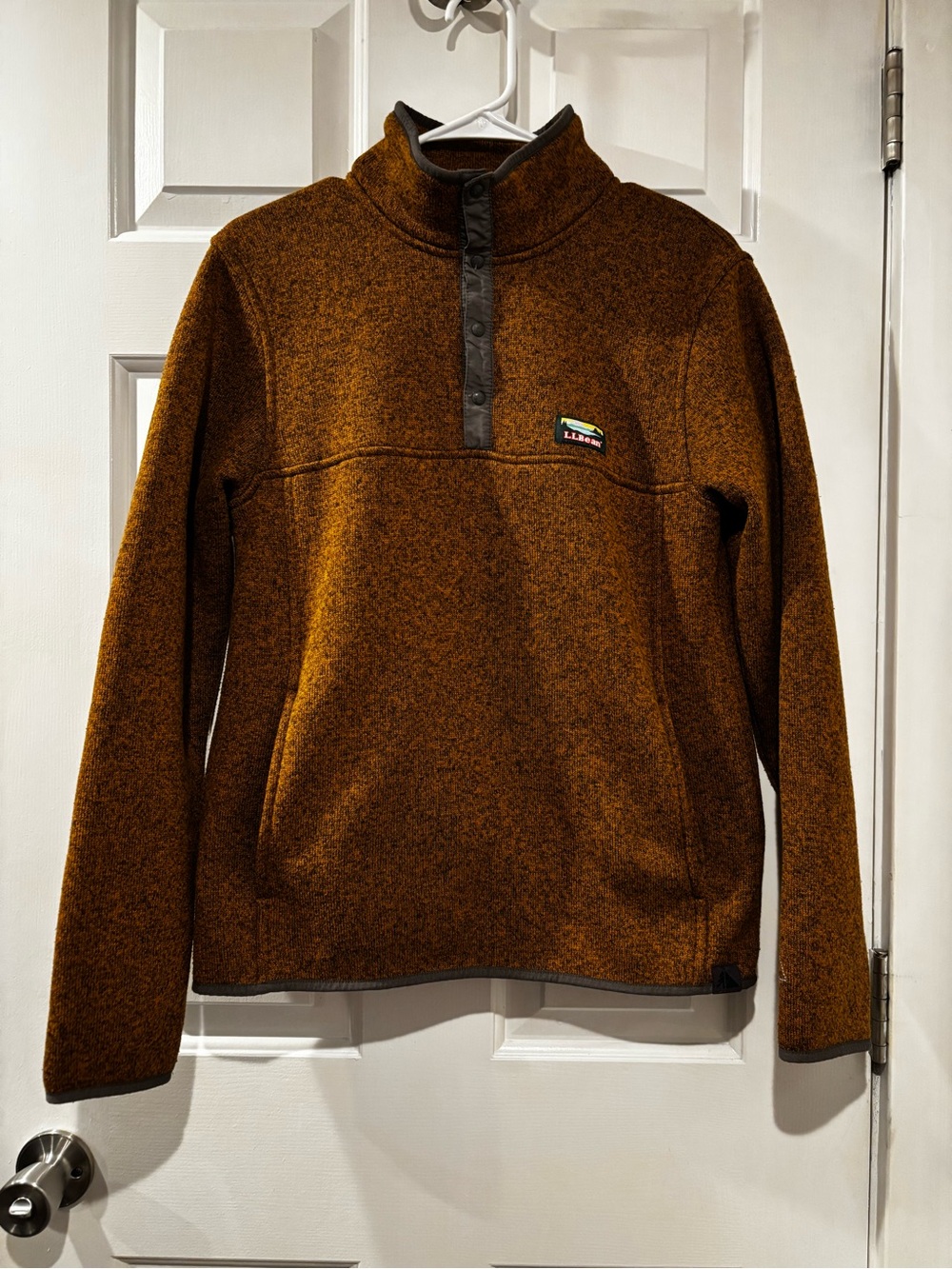 L.L. Bean Men's Fleece Snap Sweater in Brown